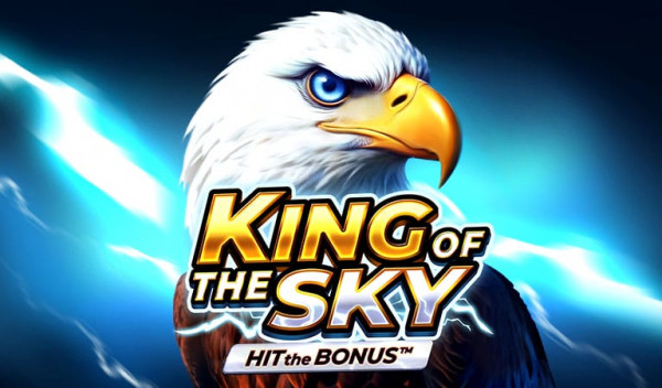 tsking_of_the_sky_banner_cjoff.jpg