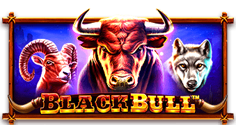 tsBlack-Bull_339x180.png