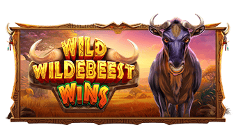tsWILD-WILDEBEEST-WINS_339x180.png