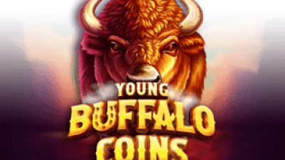Young Buffalo Coins
